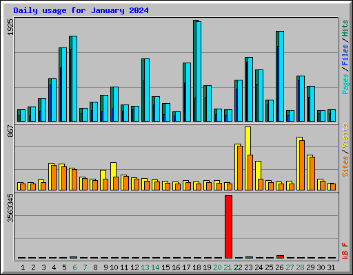 Daily usage for January 2024