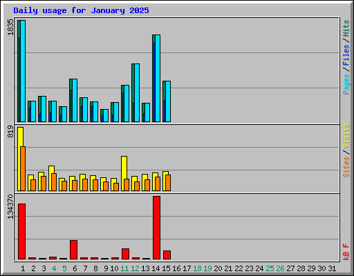 Daily usage for January 2025