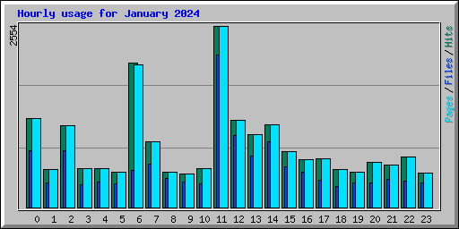 Hourly usage for January 2024