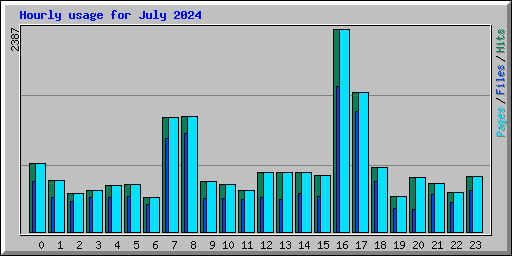 Hourly usage for July 2024