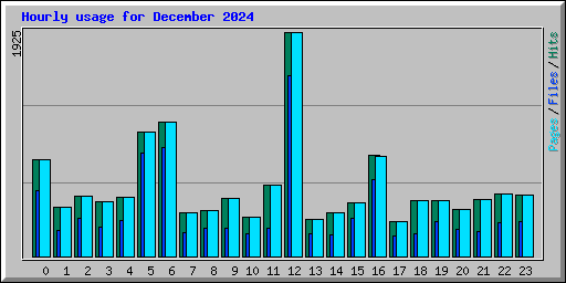 Hourly usage for December 2024