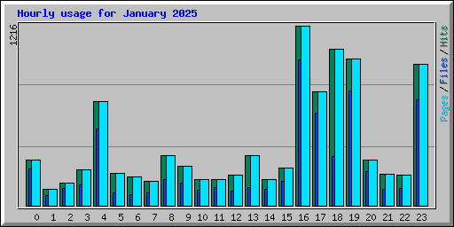 Hourly usage for January 2025